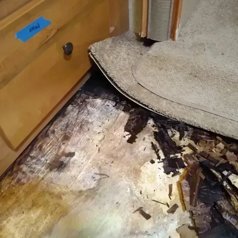 Wood Floor Water Damage in Marion, NY